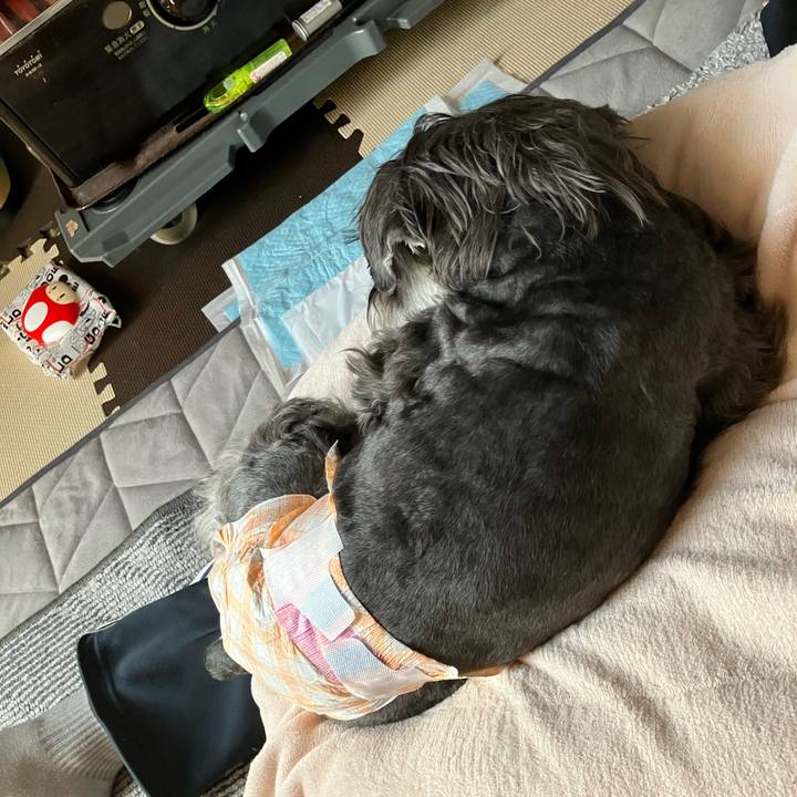 De726d76 3582 472a 8c43 f9cd7960817c 1772364941995