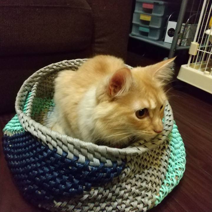 De729d16 5ba5 4426 904b 053117a8e0d9 1643633125604