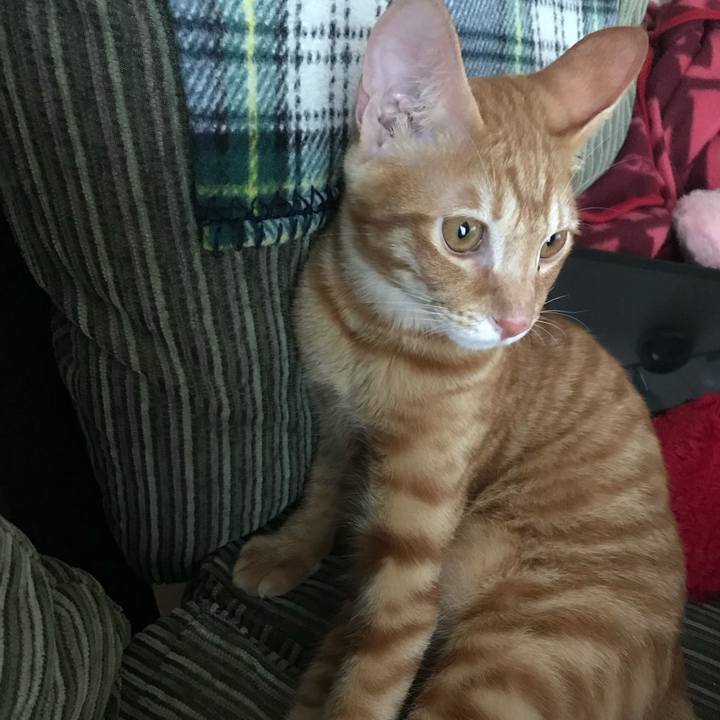 De72a620 d448 4c0e a945 ce15e107bcc4 1575193588208