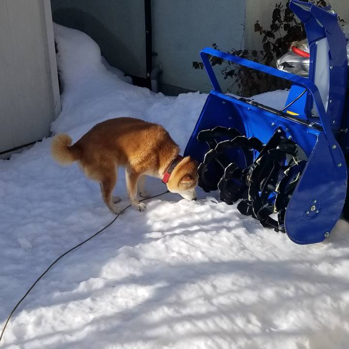 De72b061 e1c8 481a 967d b599309f04a7 1740786427945