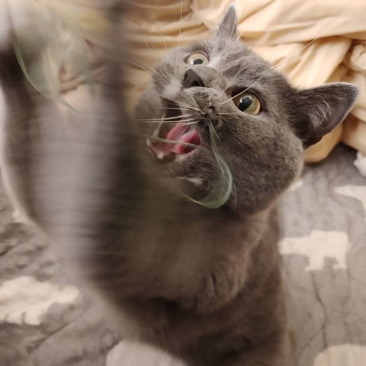 De72b20a 20f6 42cf 8495 b706063267b3 1606721277874