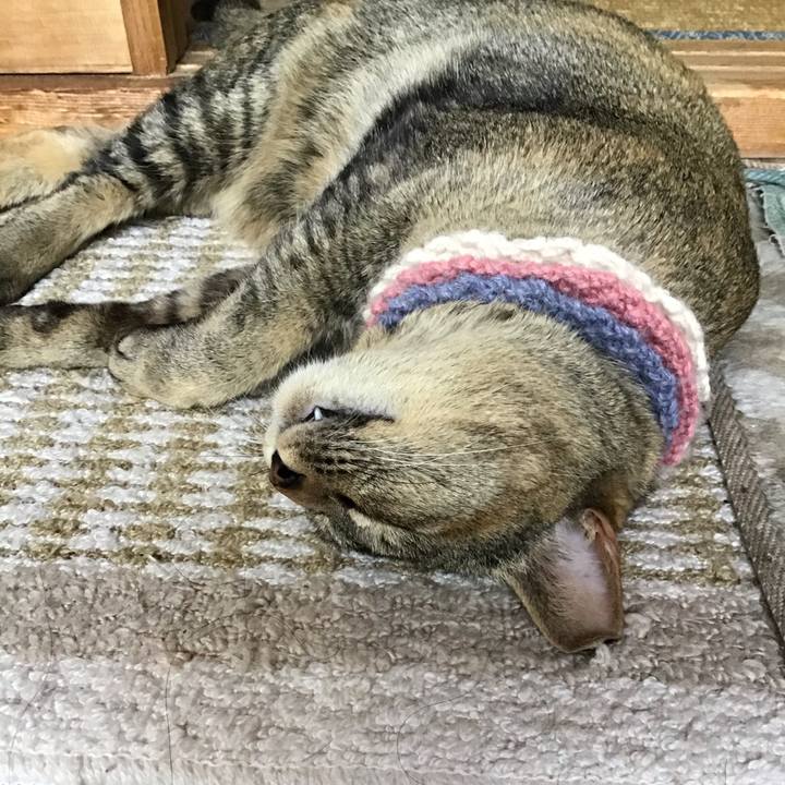 De72bcaf 33be 4f69 b929 d80acacfad0e 1620108991175