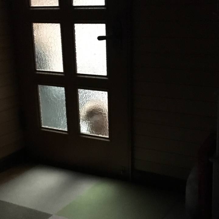 De72d41b 2a54 4192 a827 6f499c113877 1524738969289