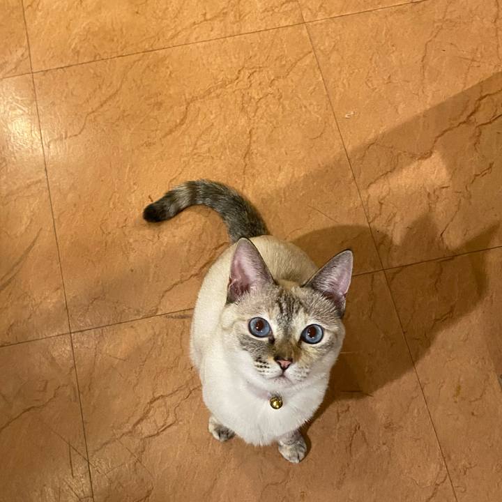 De72d8a7 2761 493e 8021 83edc0d89c7c 1697622254256