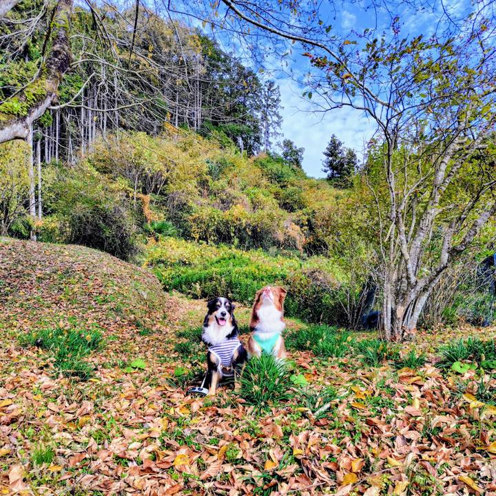 De72f688 5cb7 458d a459 87e09fb23461 1764156296718