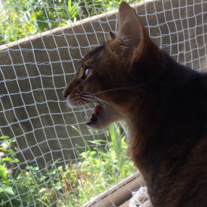 De730b18 f24c 400b 9fe1 22f3a9dd2811 1567991245116