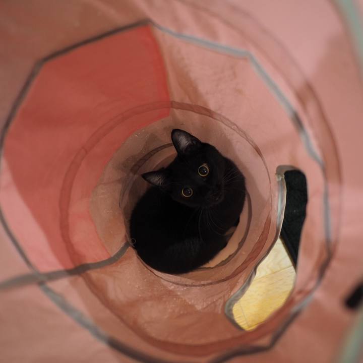 De731c73 a24e 4c36 b902 483fe8175768 1543967958020