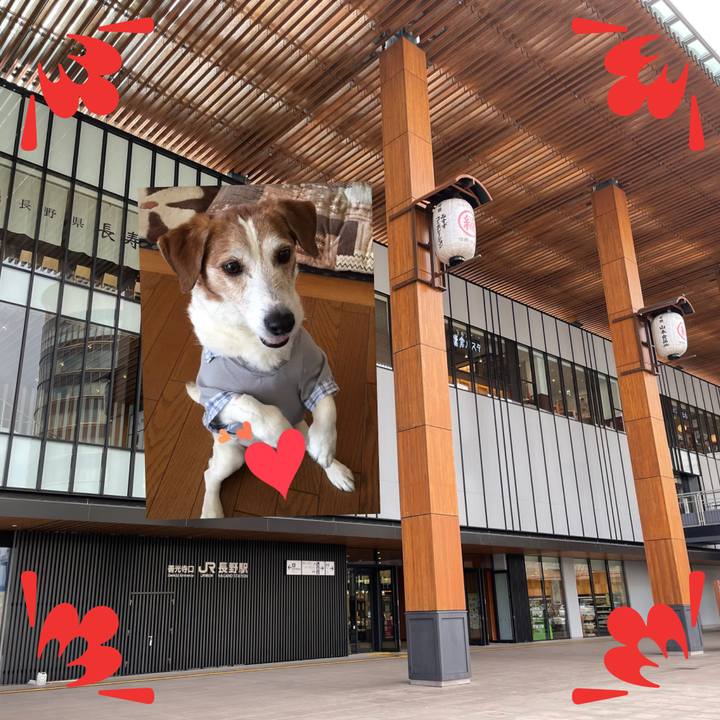 De735165 f2b9 4517 940c 1e84756aab64 1641777931117