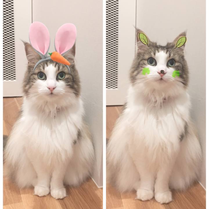 De73592e 478a 4ed4 95e9 24486217cafe 1563460759298