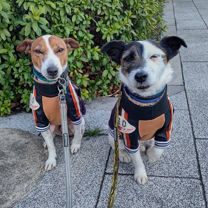 De73751a 9f31 429d 9b71 fd29861a27f7 1710283983924