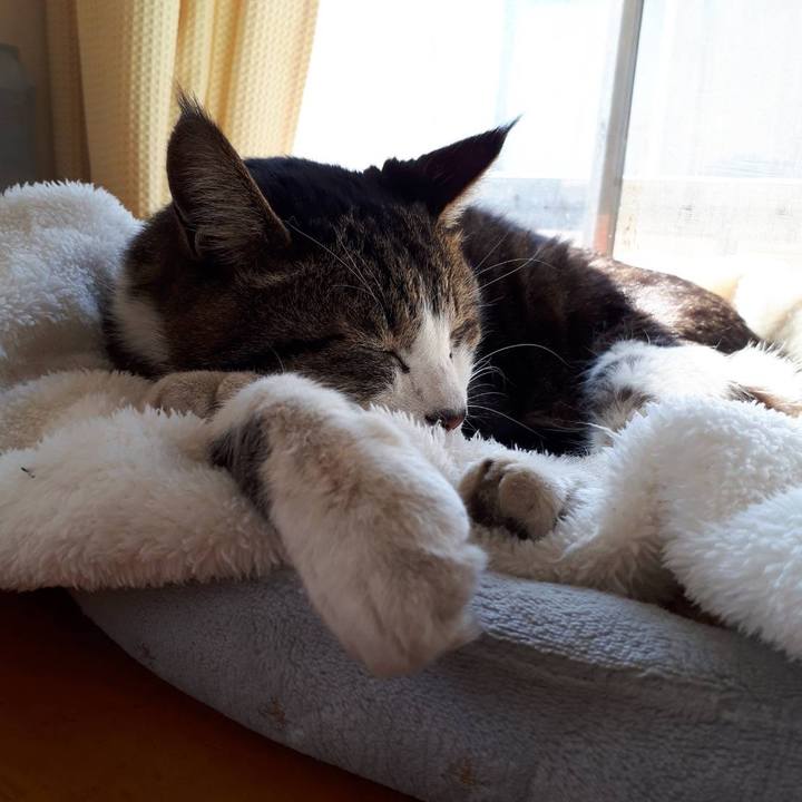 De73afb5 3b6f 46cb 881f 874f45fc33b8 1643980271184