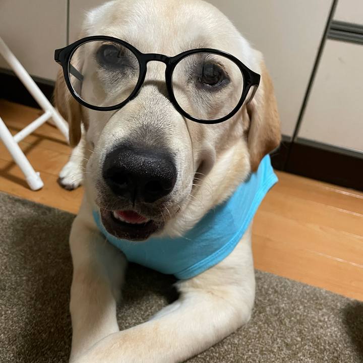 De73e8a0 1eea 457e bc72 dfbb5907ac07 1625147259493