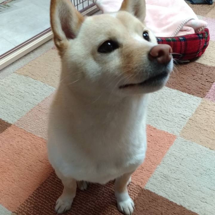 De74202d 6f7f 4f38 9ce0 2cc038854b3c 1550878735644