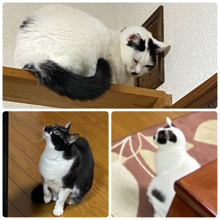 De7447d0 c835 4c6f 83bd da1ac50c360c 1641075981830