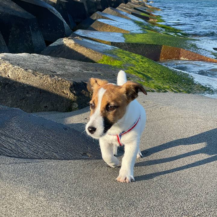 De74c1dc 6121 4cce a963 cd1f0aa97927 1620897883412