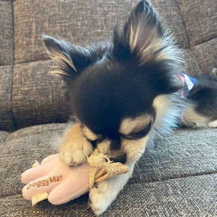 De74f890 76e3 4c40 818a 4fe738d32c18 1719072608302