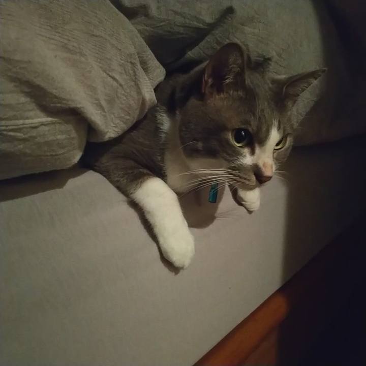 De750ca4 145e 4293 9b72 e4730bab00f5 1640037303782