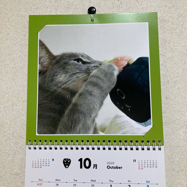 De754e98 5608 4996 bd72 46b6362632b3 1601511713940