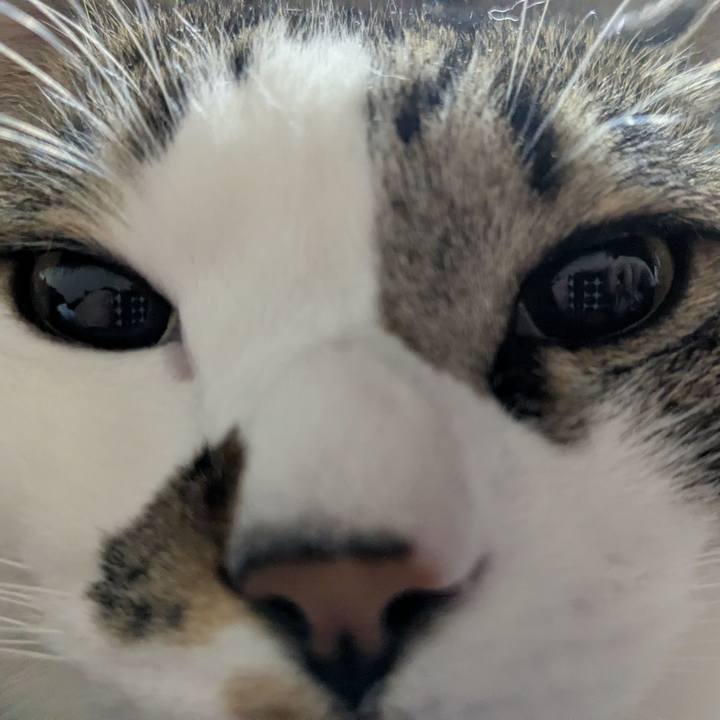 De7558cf b42a 424d ace0 447f7194d0aa 1773502456790