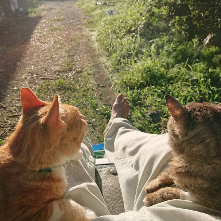 De759f06 f3f6 4c4c 92f6 5960608106c3 1595539933490