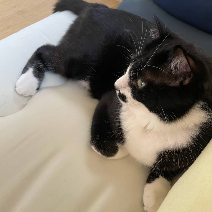 De75a10a 6dac 43a1 9b20 b18a63a195c1 1658701683677