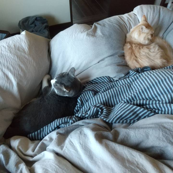 De75a73d 0a35 46e2 beb5 a0950aa22ac5 1644106287915