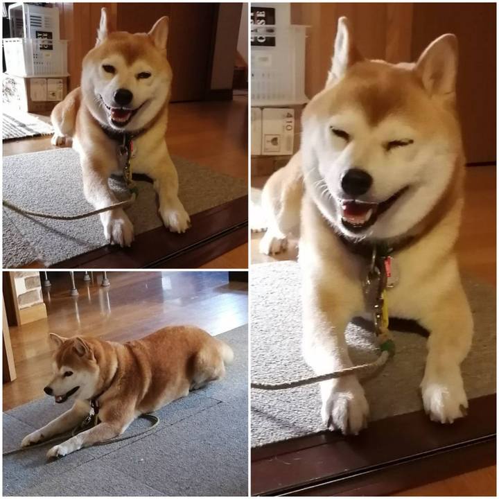 De75b014 93dd 41c3 bd09 f23ce2471977 1599135309580