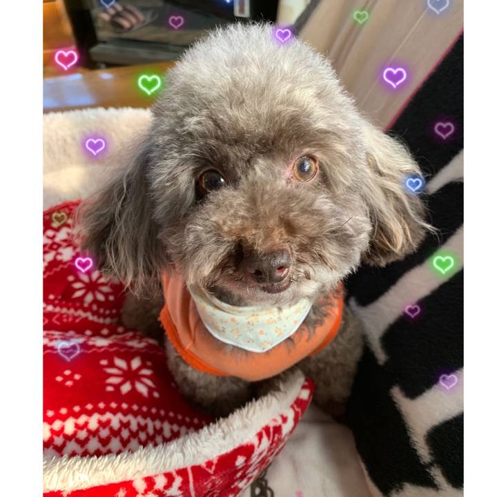 De75b6c8 0dc6 412b b2ab 6af6a9c5b8c4 1583391299774