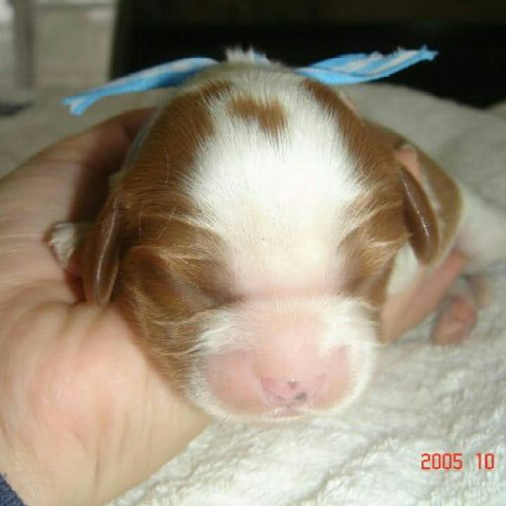 De75c5b8 b7e5 491c af31 d697e1e8e5da 1564797186496