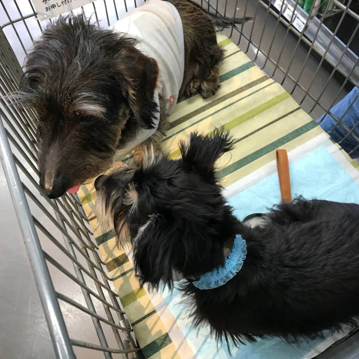 De7611fc fe15 4eea 93a9 40d5c9a4d2cf 1550314491707