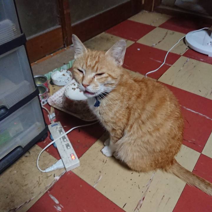 De769745 c629 4eb6 9dde 464f5a26ee23 1560195985594