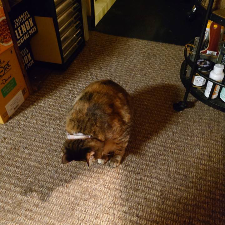 De76b1d1 6631 4af9 8827 6f4ddf52a4f7 1773493296284