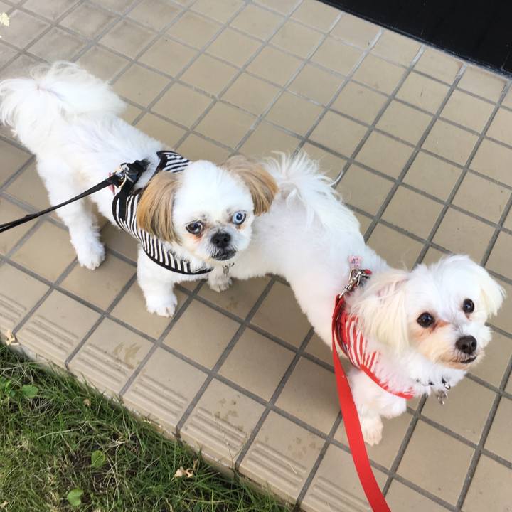 De76cc89 89d6 46f2 bc6f b2e15eef9523 1508282373549