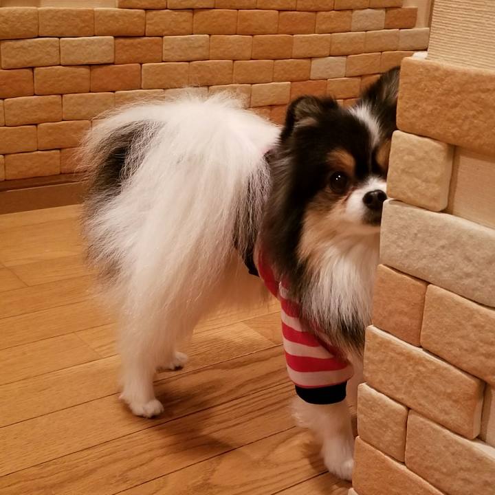 De76ccae db30 4b4b 876b 110de75fa681 1521806232142