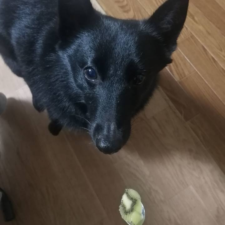 De76d966 f9ed 4ec9 b791 2c7a52a54a36 1634678236837