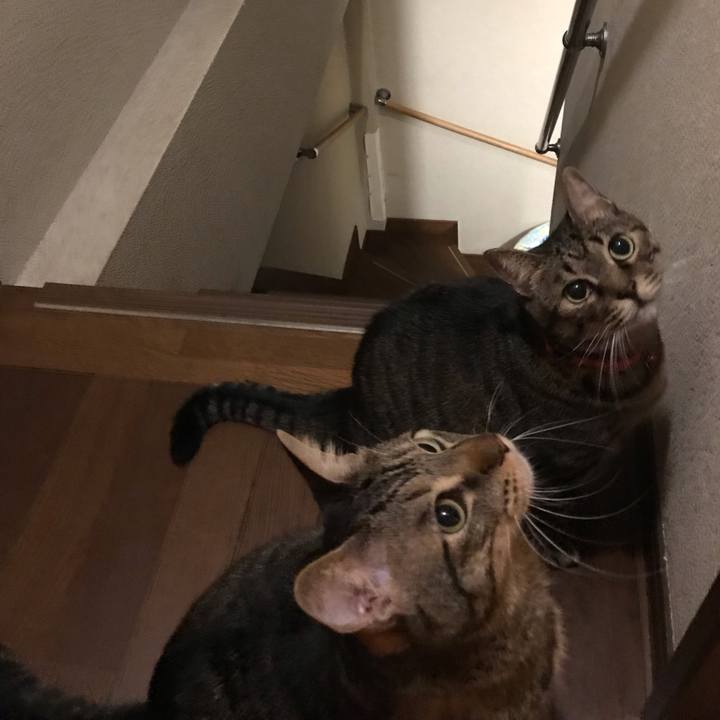 De76f28d 8612 4c16 90e8 dc79b3adb22d 1540038802734