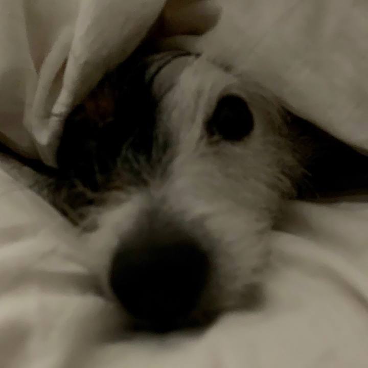 De76fdd8 f35d 480d bb71 ff549abf4508 1551362028099