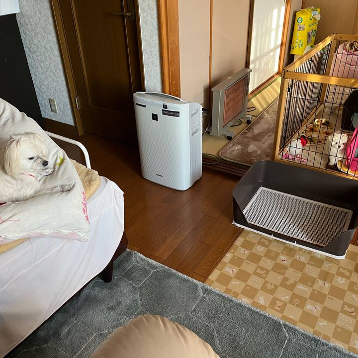 De771054 5fad 4edf a769 de1d5ac1b765 1701584470099