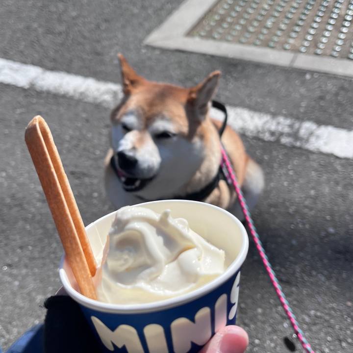 De771147 d37d 45d7 96a7 27fe7b9440ce 1710398556113