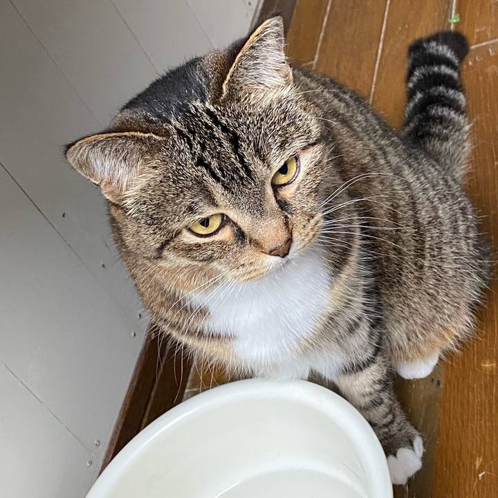 De7725a0 61ff 4666 84dd 899b3dcc4201 1621317816616