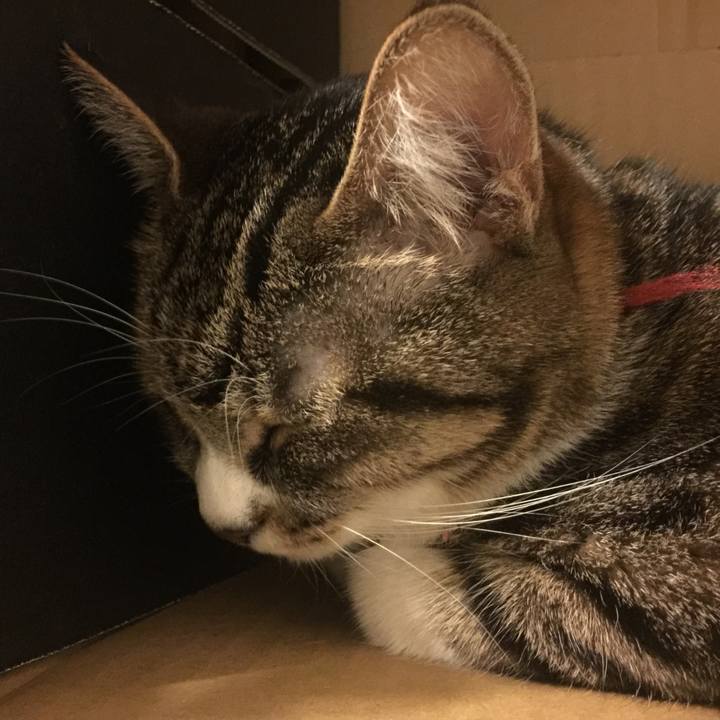 De77404b d446 449a b3f0 aa12bcc06545 1549366774143