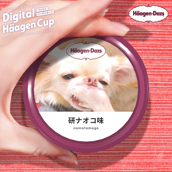 De7793a7 6da5 470d be86 e6c564b1b4e7 1607555077078