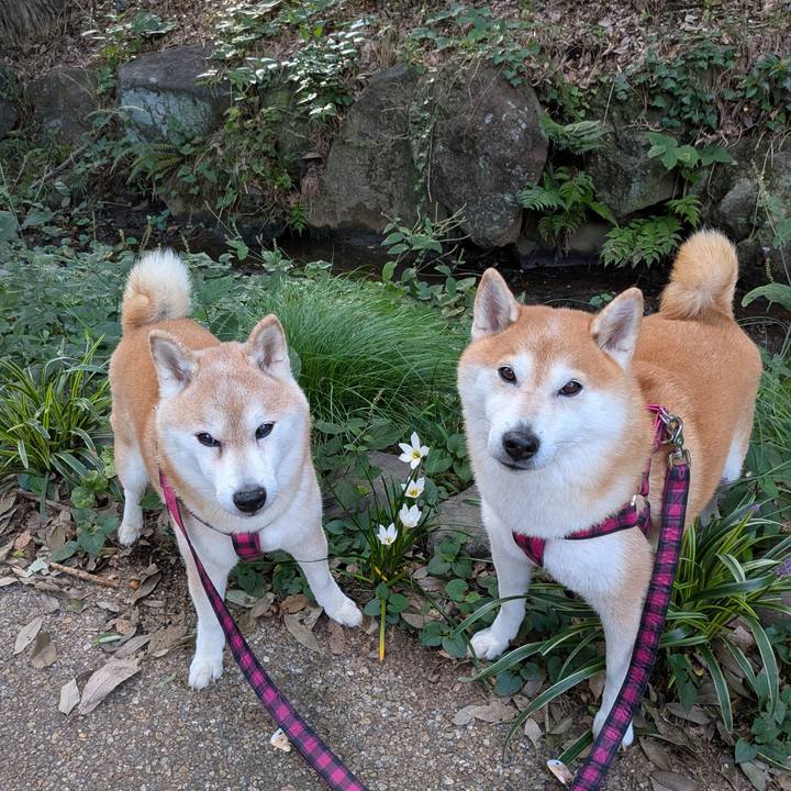 De77e09a 0a28 46b7 b115 0234d7dc5e1c 1758766494078