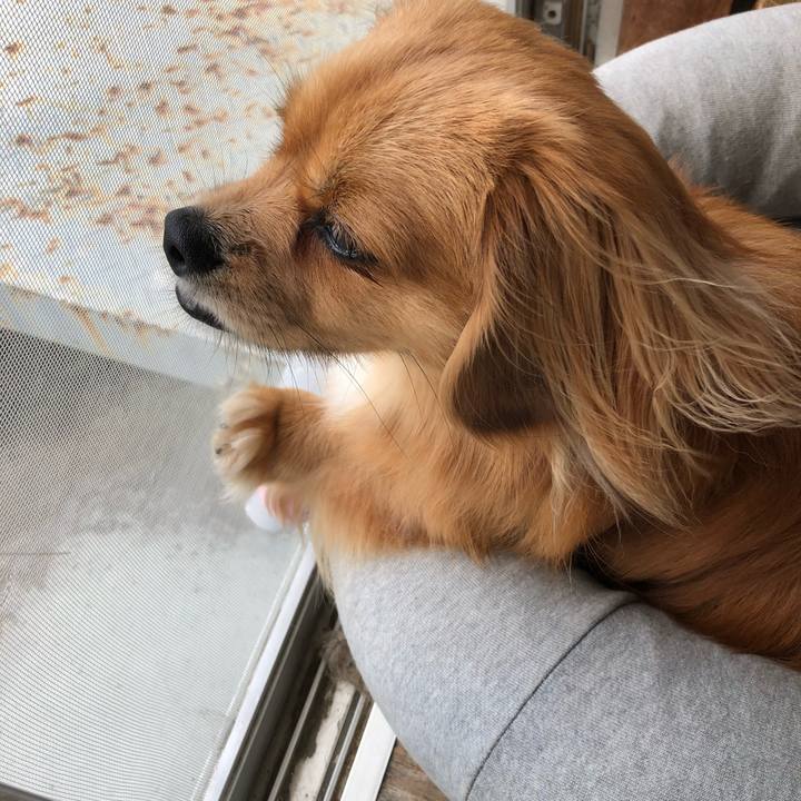 De77e4b3 17f6 4632 8900 b6019013066b 1530131988039