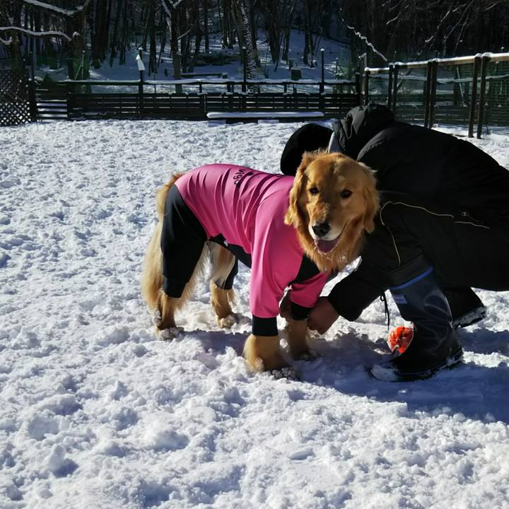 De780382 023e 4106 bef1 1b67668eef15 1519317204677