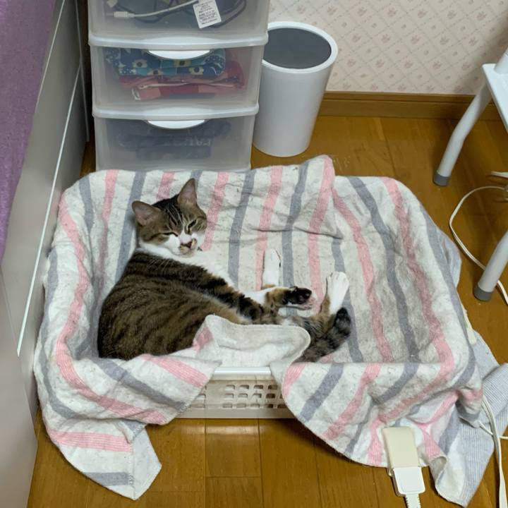 De780443 1c6e 41bd 82e7 d7b08136a809 1624395554333