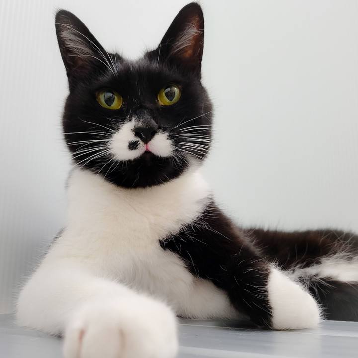 De783a78 d3ff 4915 9d46 33d044826e16 1652896250197