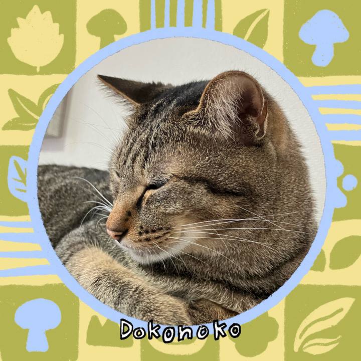 De785f17 3782 437f a7a3 44797efe7206 1761441310148