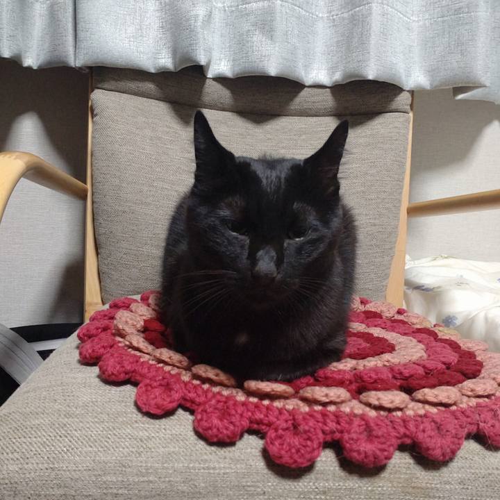 De786e8c 7aa6 43ba ac33 c0d238a25848 1761471871650