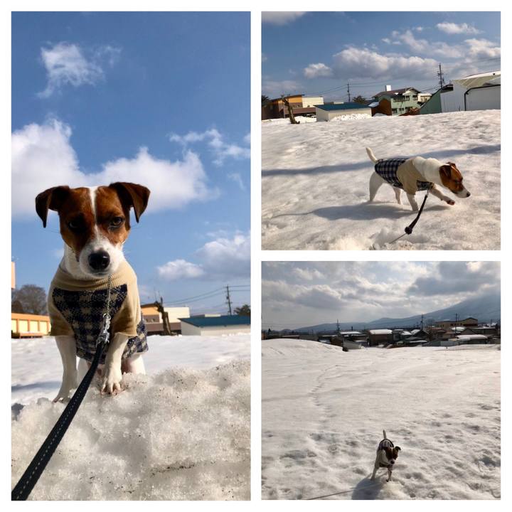 De788135 bffc 49ff a569 205d0455c26e 1551491315713